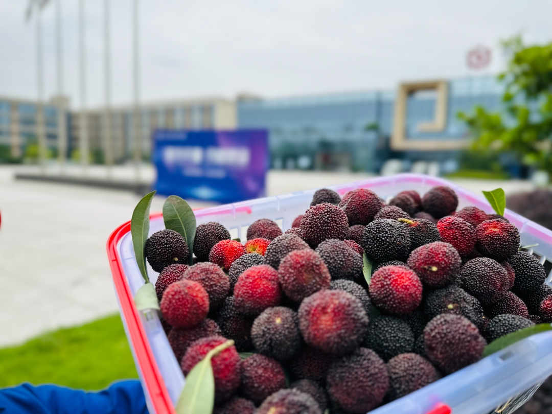 bf80d8b564df8998b76a7e91e332be4c.jpg bf80d8b564df8998b76a7e91e332be4c.jpg