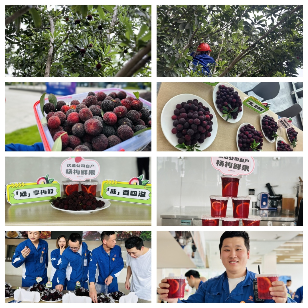 e9df6f335a0a0dbfc0c2acbb63701758.jpg e9df6f335a0a0dbfc0c2acbb63701758.jpg