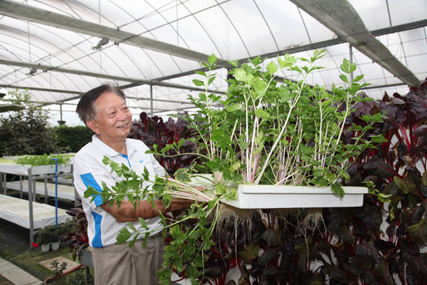 享受國務(wù)院特殊津貼專家、通威股份高級技術(shù)顧問吳宗文